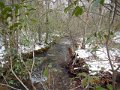 DSCN0440
