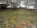 DSCN0444