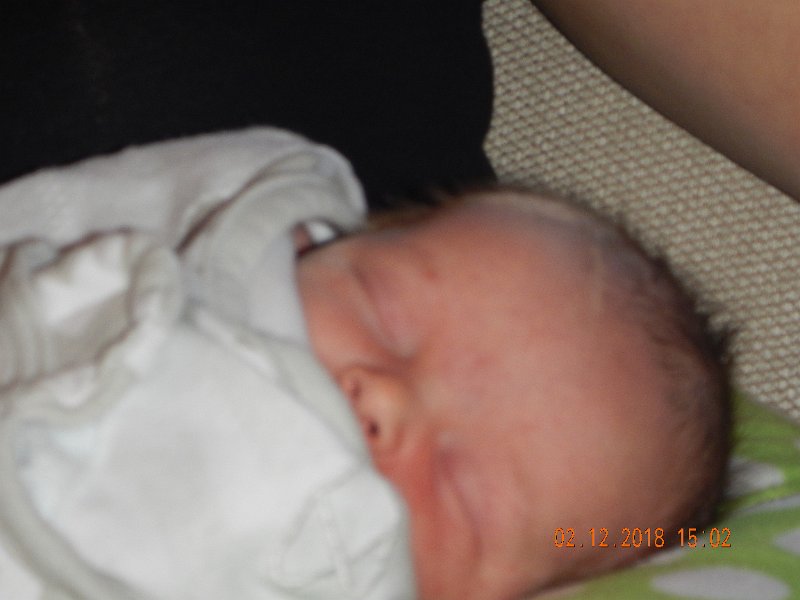 DSCN2950.JPG
