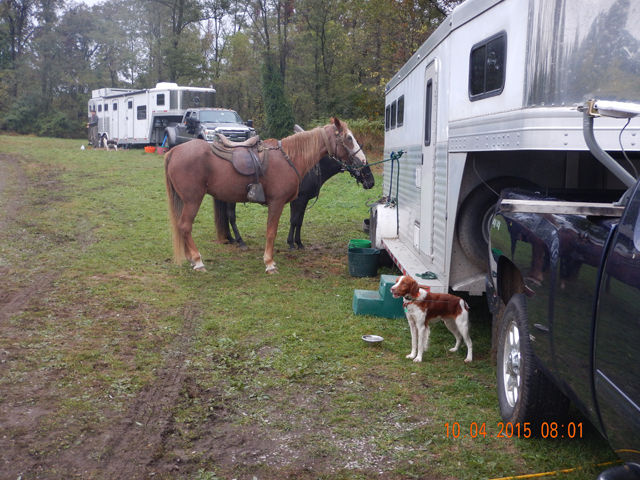 DSCN0660.jpg -                                Horses and Brittanys were the norm.