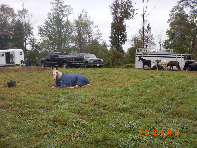 DSCN0661.jpg -                                Taking a break.