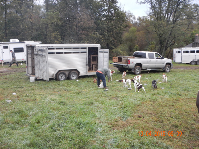 DSCN0665.jpg -                                A Basset and pointy tail dog also were in attendance.