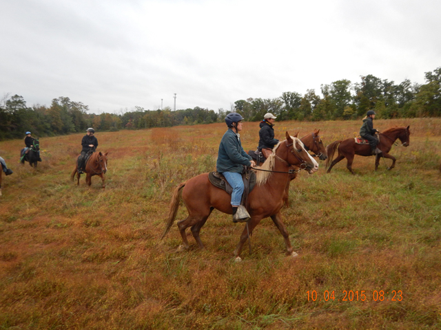DSCN0673.jpg -                                And then there was the gallery.