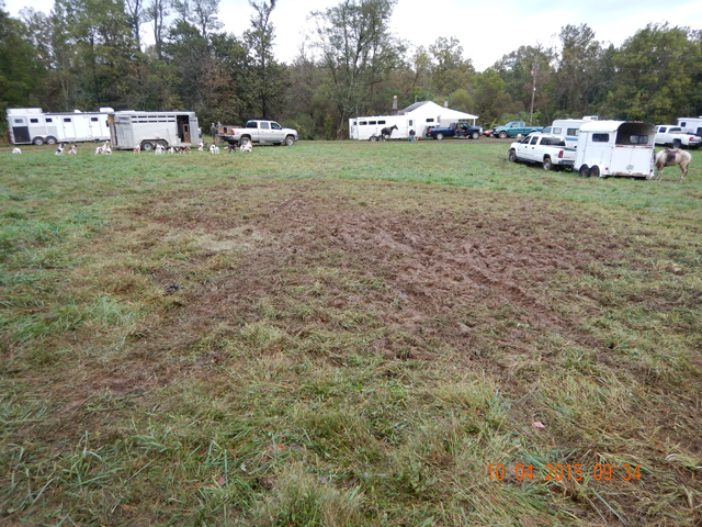 DSCN0682.jpg -                                And, it just got worse as the trial went on.