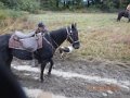 DSCN0674