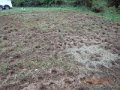 DSCN0681