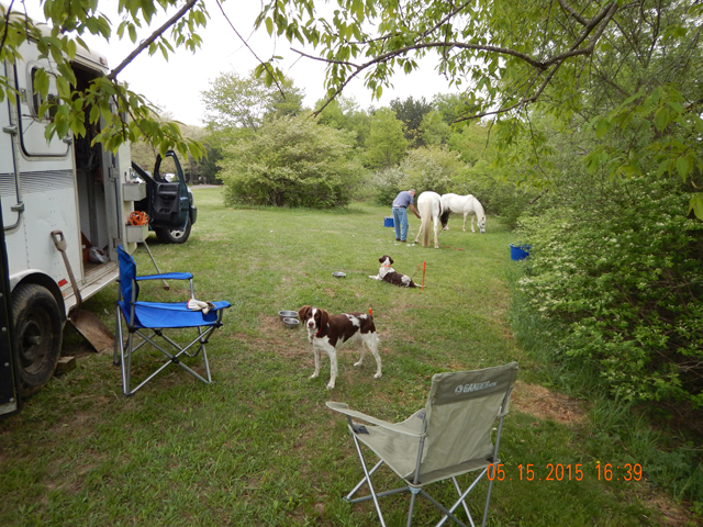 DSCN0321.jpg -                                