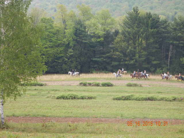 DSCN0323.jpg -                                
