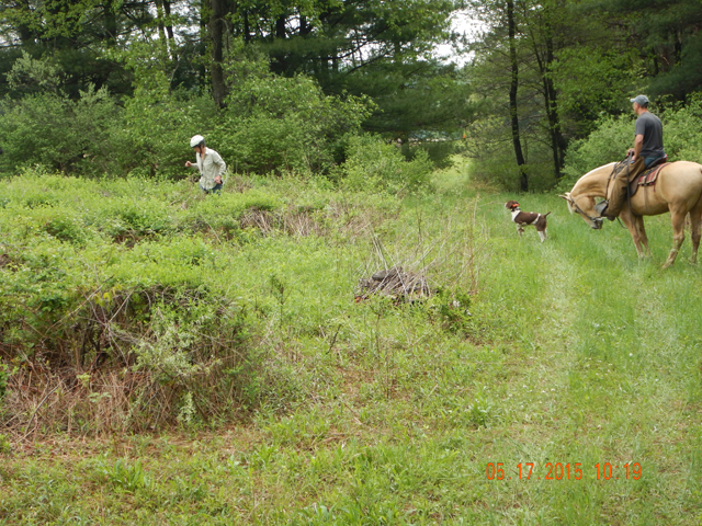 DSCN0340.jpg -                                