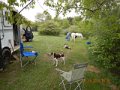 DSCN0321