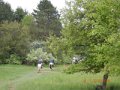 DSCN0334