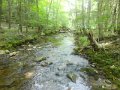 DSC01770