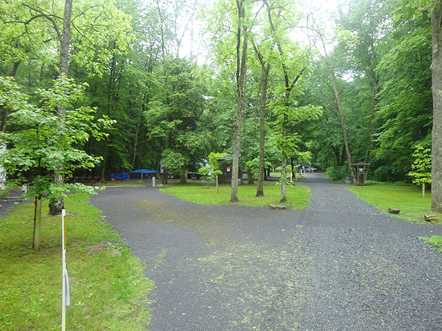 DSC01616.jpg -                                Looking down the lane toward the other campsites.
