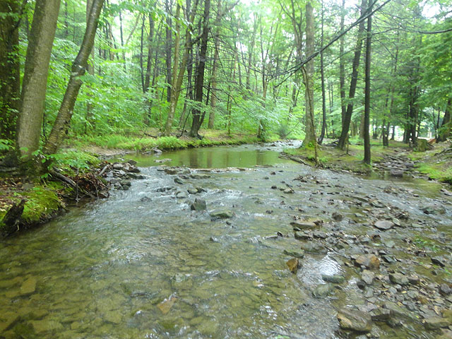 DSC01621.jpg -                                Cant tell from the pic but it was raining all day.