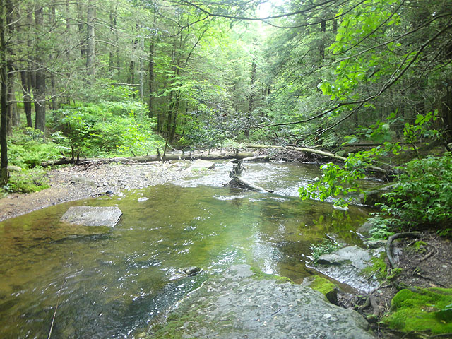 DSC01631.jpg -                                Laurel Run 1