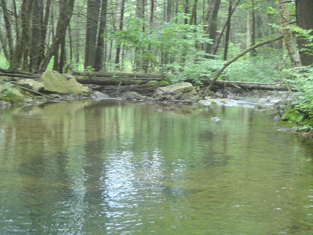 DSC01657.jpg -                                Laurel Run 14