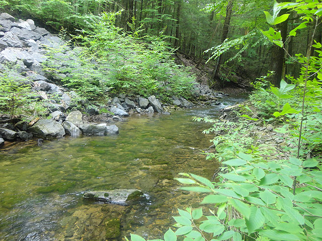 DSC01661.jpg -                                Laurel Run - Up Stream 1