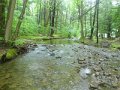 DSC01621