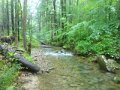 DSC01624