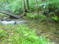 DSC01626