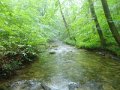 DSC01629