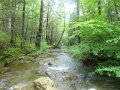 DSC01636