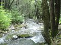 DSC01646