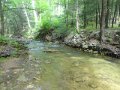 DSC01651