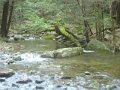 DSC01658