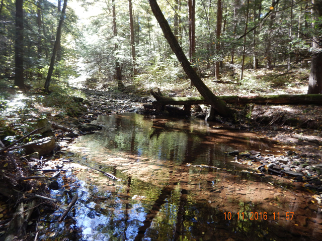 image004.jpg -                             The stream flow is the worst I've seen.  Lay a fly on the water and it just sits still...no current.   