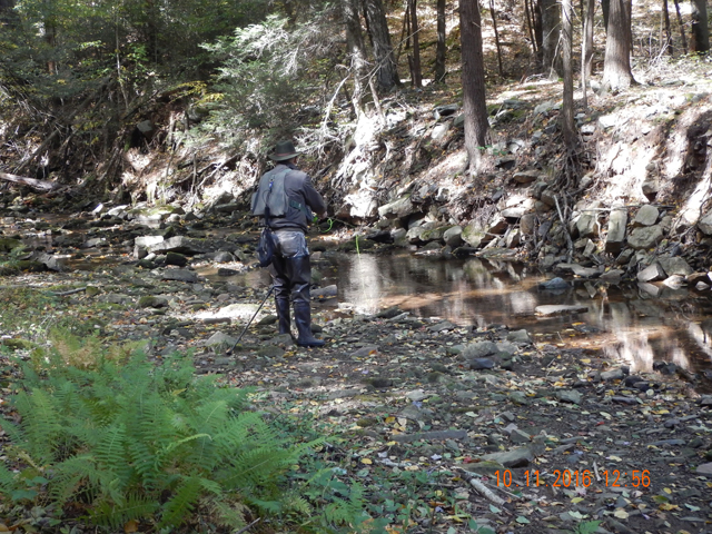 image006.jpg -                 Ed and I hit Laurel Run and we got a couple of wild trout.  Not many and certainly nothing big.               