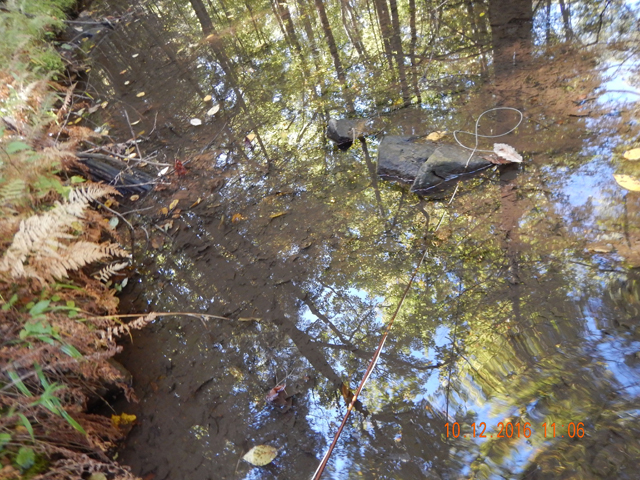 image015.jpg -                                Just an idea of how clear and still the water was.
