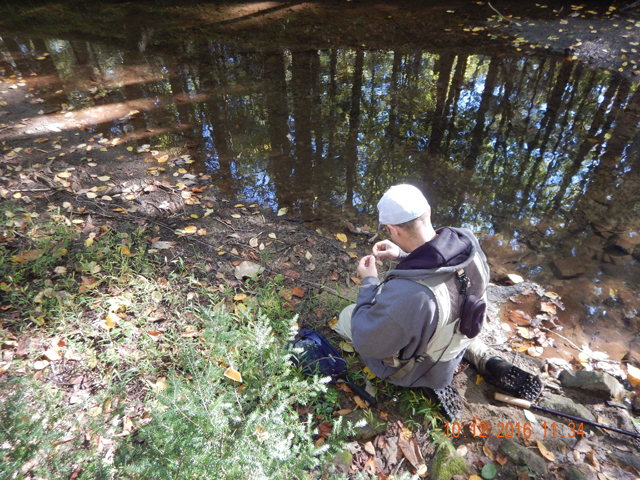 image016.jpg -                                Most of our fishing was on the seat of our pants or on our knees.