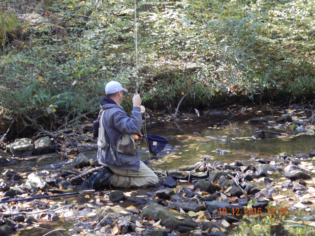 image018.jpg -                                Here Gary is bringing a little one to the net.  Hard to believe there are any fish in that water.