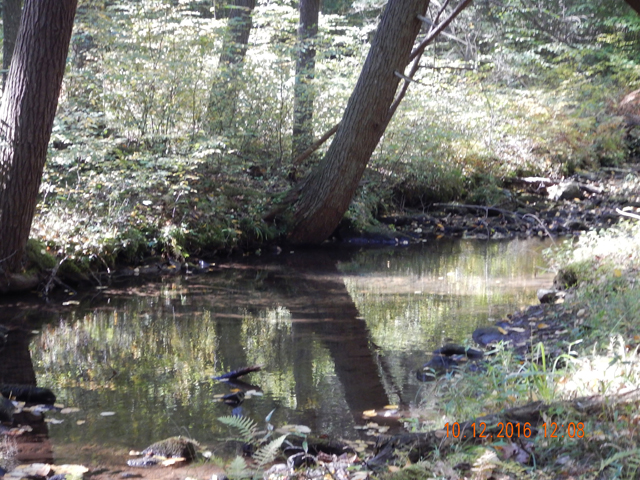 image019.jpg -                                This hole held a few fish that were cooperative.
