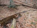 DSCN1778