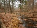 DSCN1780
