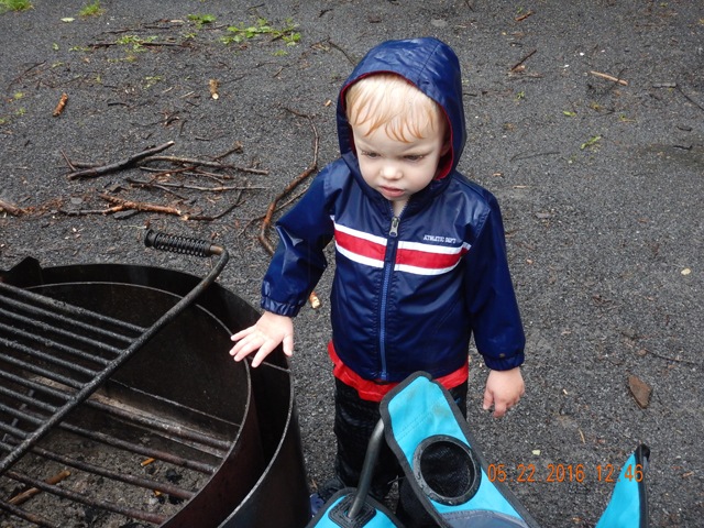 DSCN1294.jpg -                                It rained the entire first day but this little guy didn't seem to care.