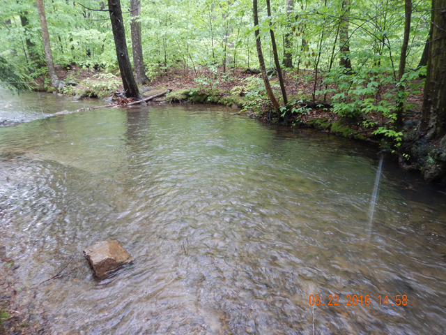 DSCN1302.jpg -                                Easy to see why fish live here.