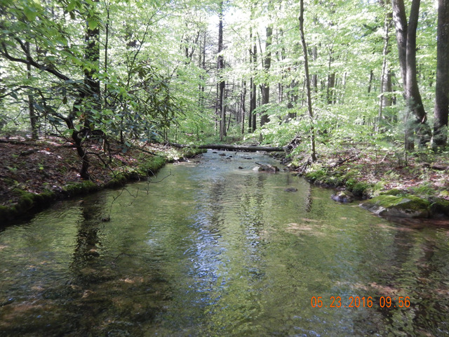 DSCN1319.jpg -                                The next day Gary and I drove over to Shaeffer Run.  This stream was in beautiful condition too!