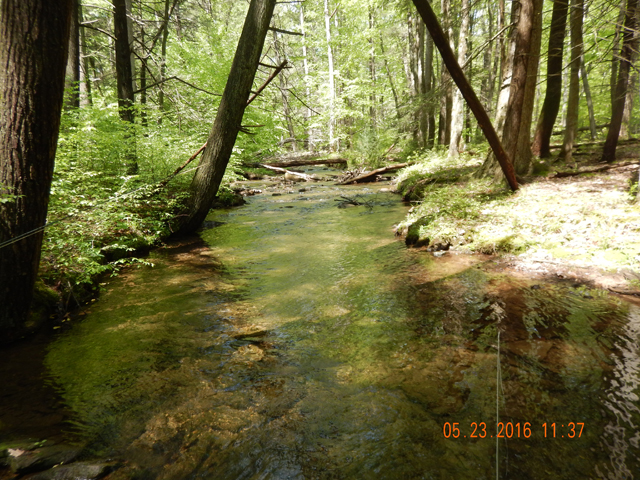 DSCN1342.jpg -                                We will certainly come back to this stream.  It's a jewel.