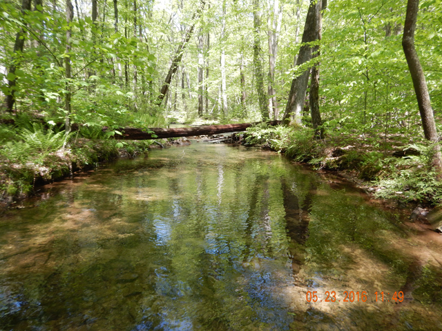 DSCN1345.jpg -                                