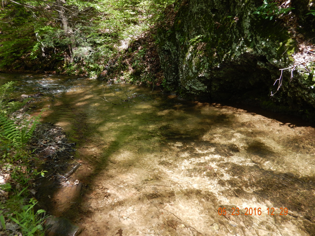 DSCN1359.jpg -                                