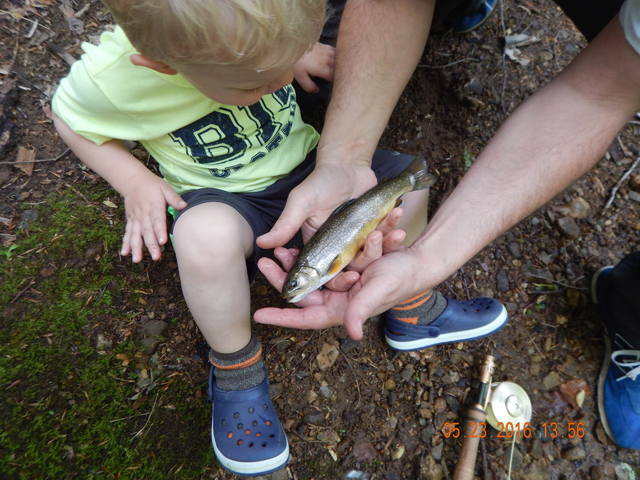 DSCN1363.jpg -                                Gary caught a stocker when we returned to the camp site.  The little guy even touched the fish.