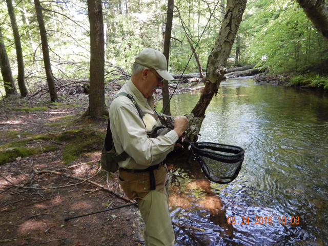 DSCN1372.jpg -                                Here he is setting up for the next fish.