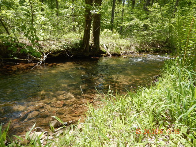 DSCN1378.jpg -                                