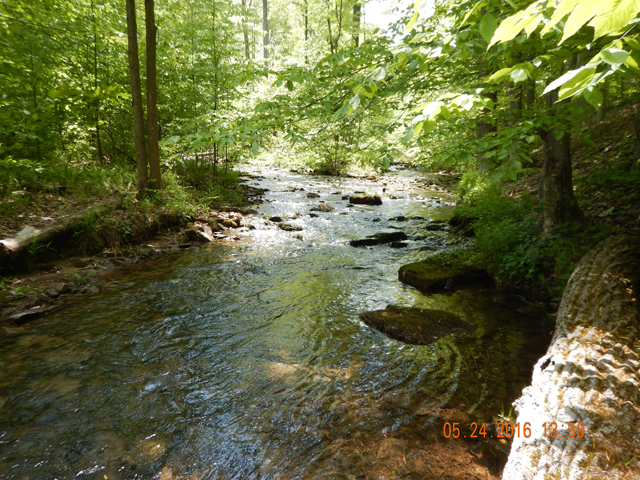 DSCN1383.jpg -                                This stream just looks "fishy".
