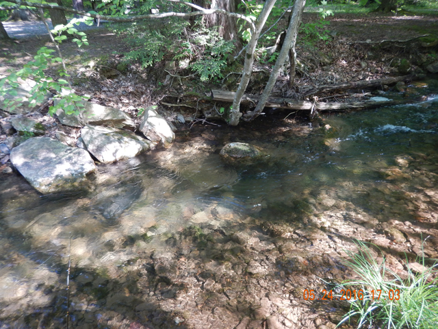 DSCN1388.jpg -                                