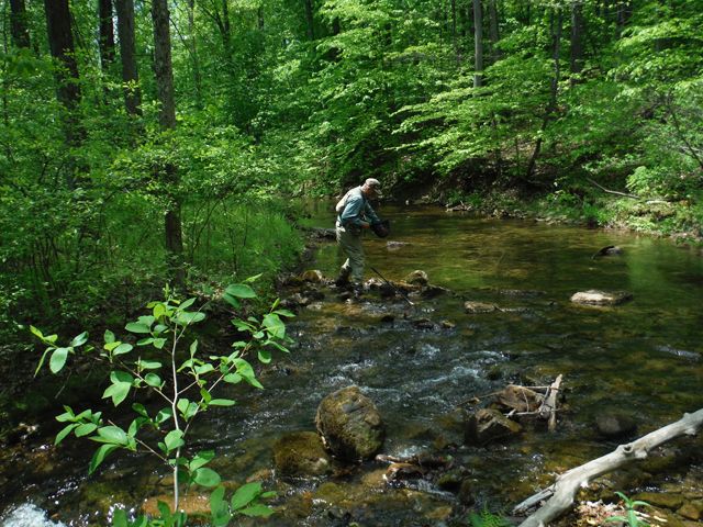 image002.jpg - Ed took a few pics too!  He caught me releasing one.  I think I miss 4 at this spot and caught 2 or 3.  Trying to switch to barbless hooks and I sure am losing a bunch of fish.