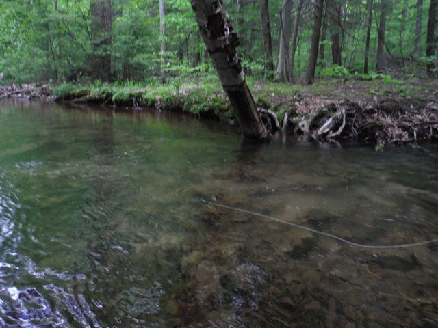 image004.jpg
